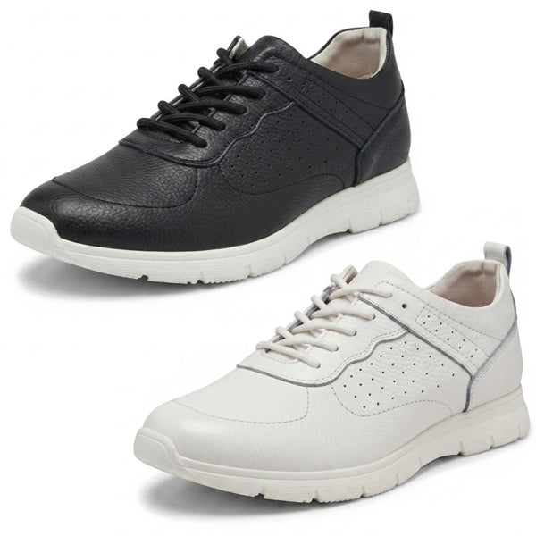 Ladies Spot On Low Lace Up Trainer F7224