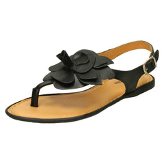 Ladies Leather Collection Toepost Sandals F00207