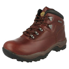 Mens Northwest Territory Lace Up Walking Boots Inuvik