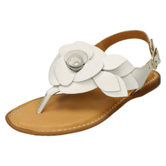 Ladies Leather Collection Toepost Sandals F00207