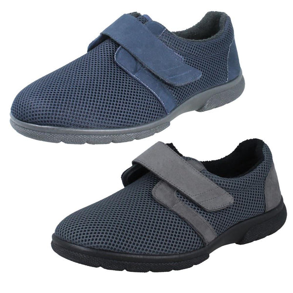 Mens DB Shoes Casual Textile Shoes Desmond